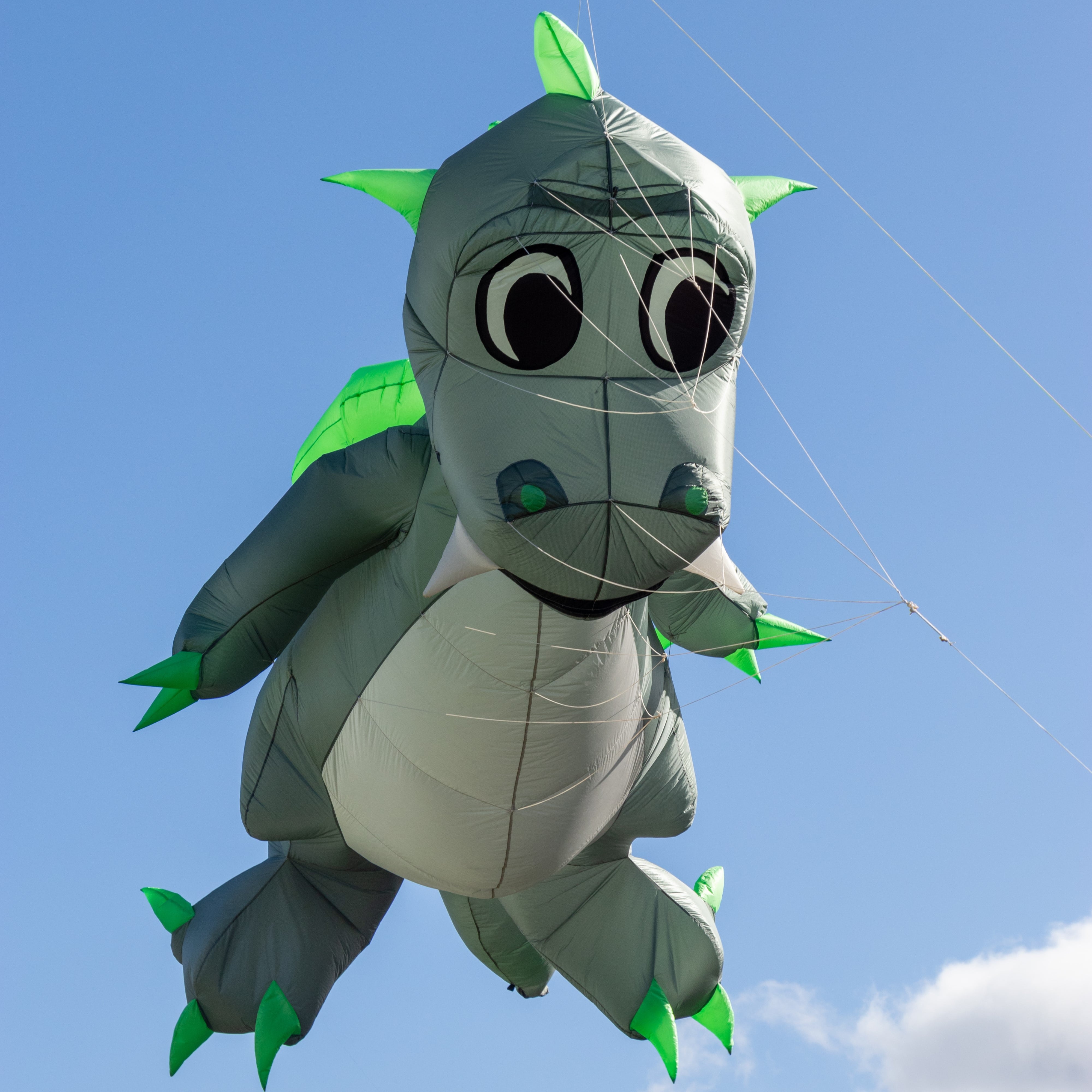 Drachenfest2023-7128-min.jpg
