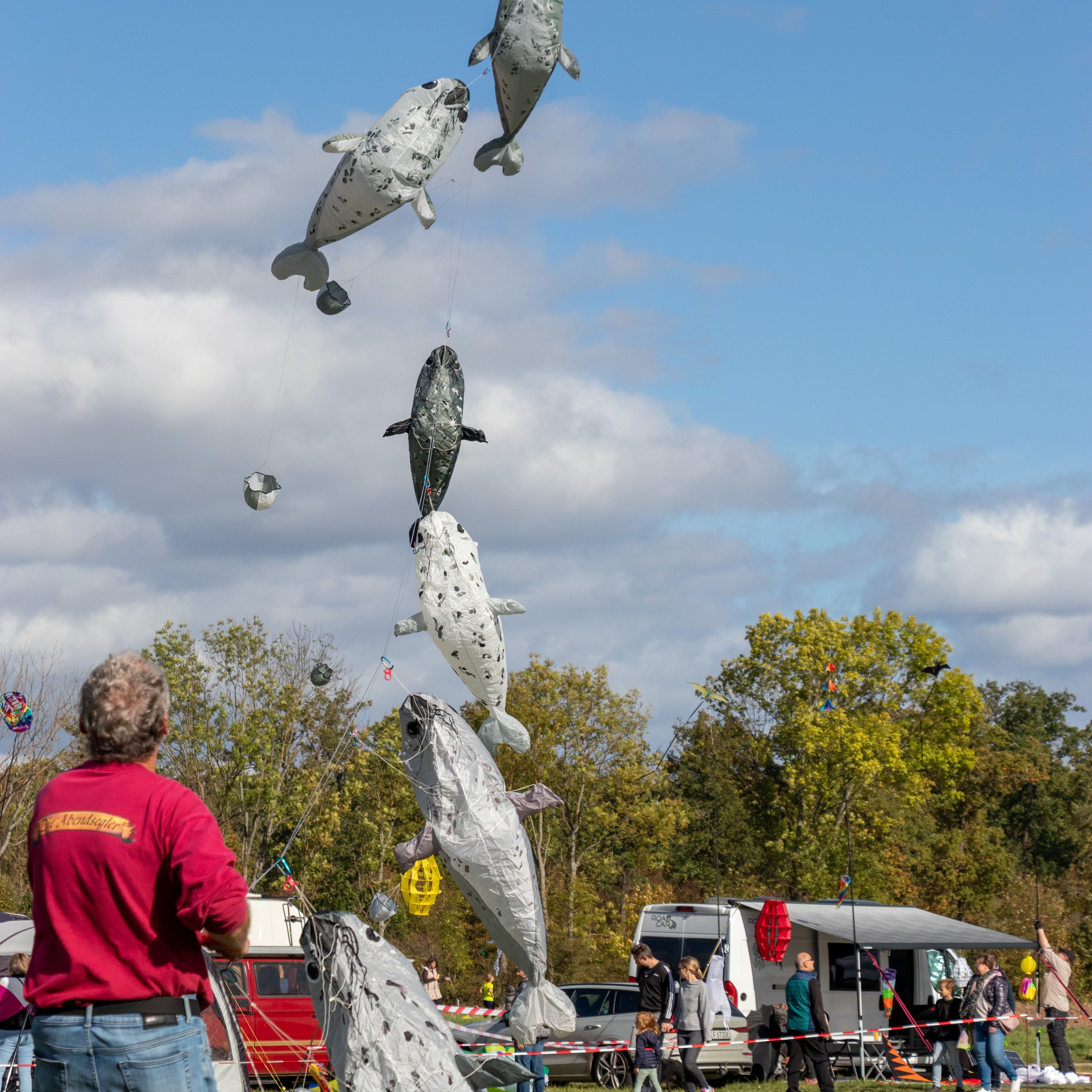 Drachenfest2023-7207-min.jpg