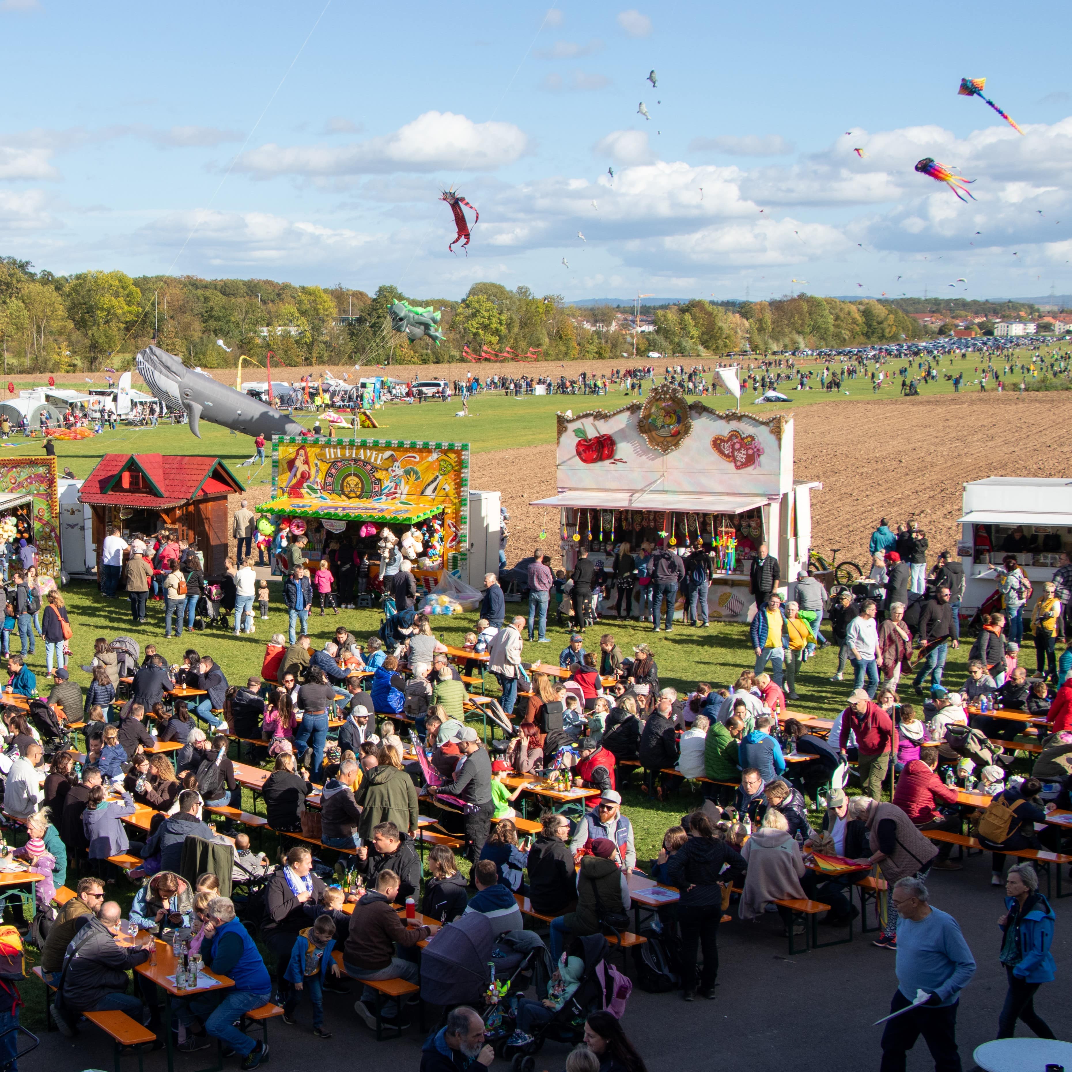 Drachenfest2023-7321-min.jpg