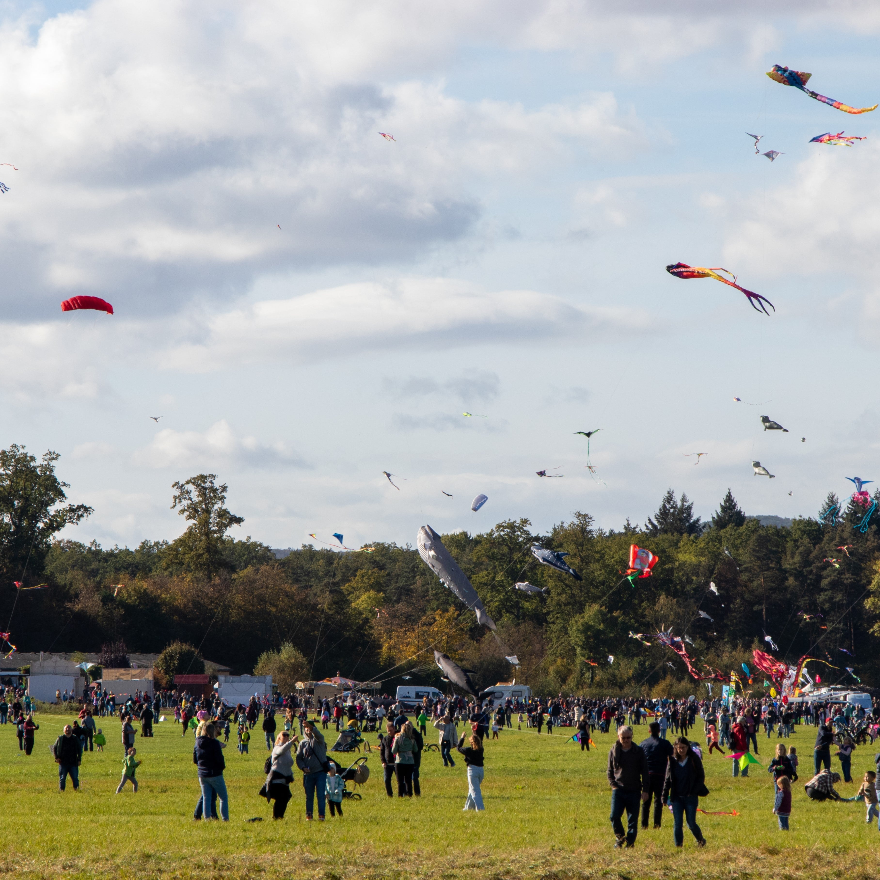 Drachenfest2023-7469-min.jpg